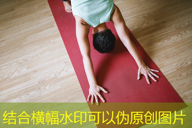 jogos cassinos bet 365