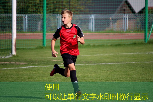 cassinos com jogo do bicho