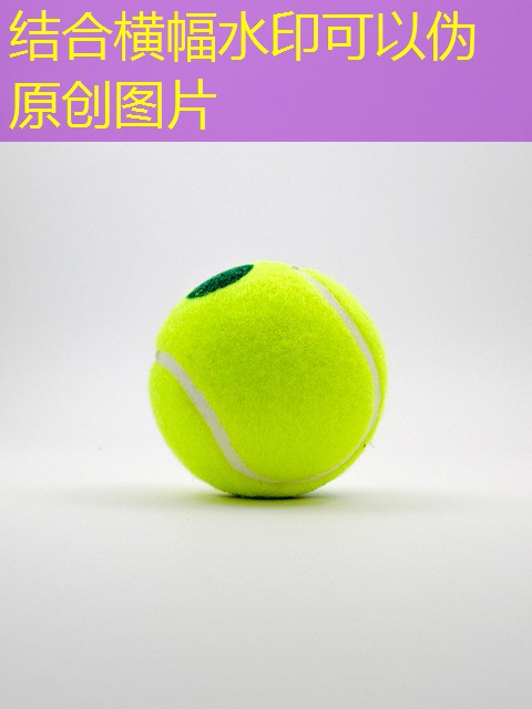 jogo do dragao cassino