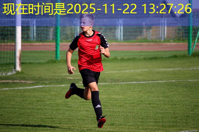 plataformas de jogos cassino