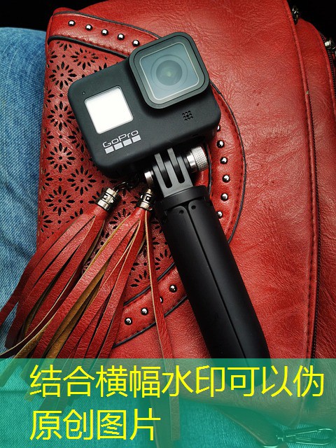 mr beast jogo cassino