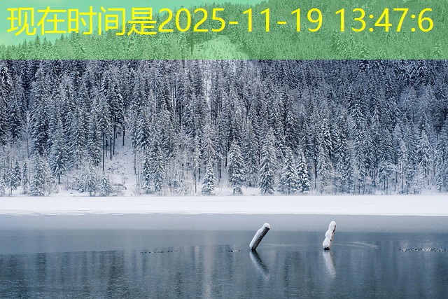 cassinos com jogo do bicho