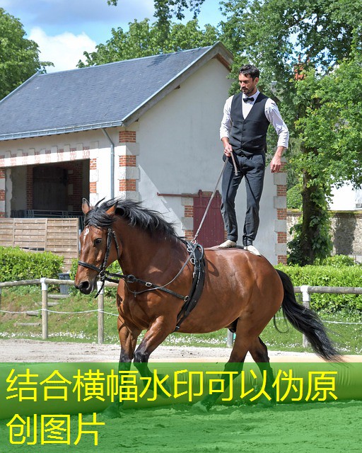 hot chilli jogo cassino