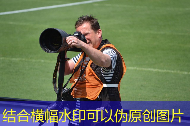 jogo do rinoceronte cassino