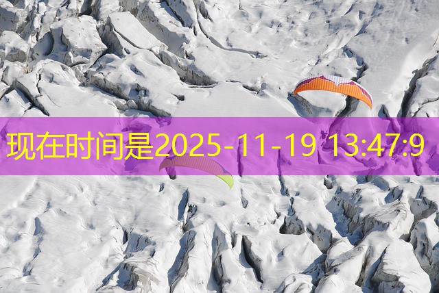 cassinos com jogo do bicho