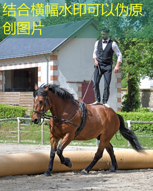 jogos caça-níqueis para cassino